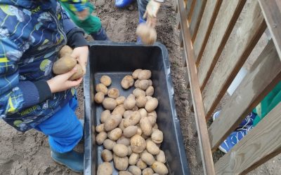Wycieczka na wykopki